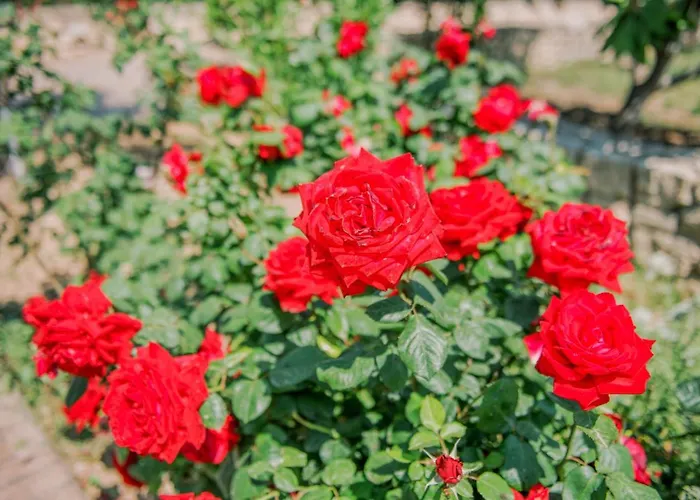 Acrocorinth Corinthe